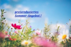 Hauptbild *** einfach zum Verlieben ... sehr gepflegte 3 Zi.-Balkonwohnung in ruhiger Lage ... ! ***